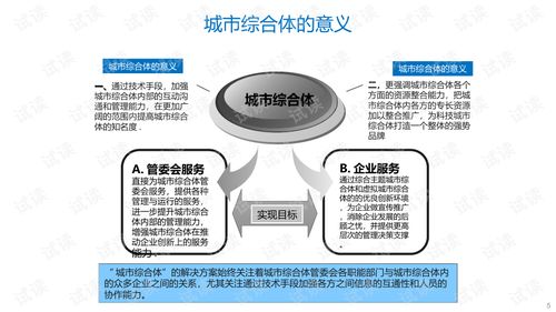 城市綜合體建設(shè)運(yùn)維及整體服務(wù)解決方案.ppt